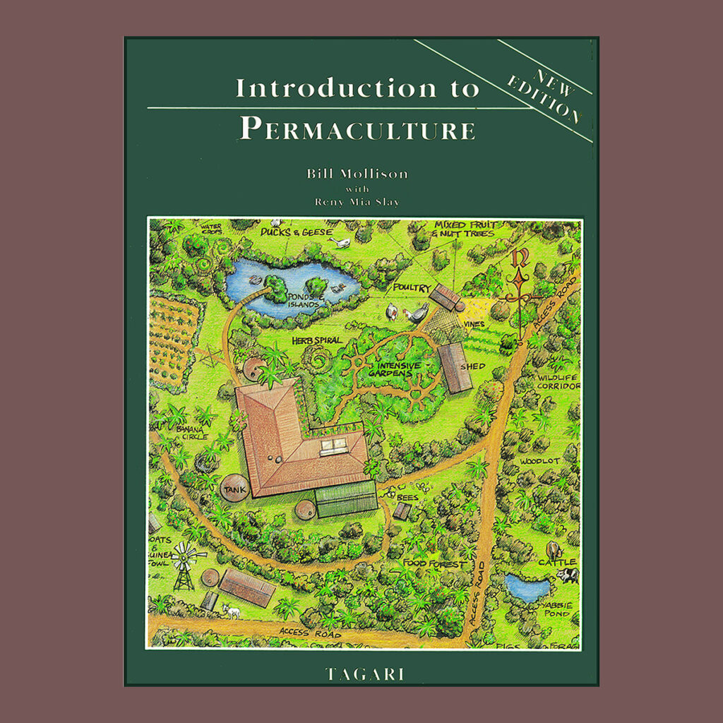 custom landscape and architectural illustration by Wayne Fleming